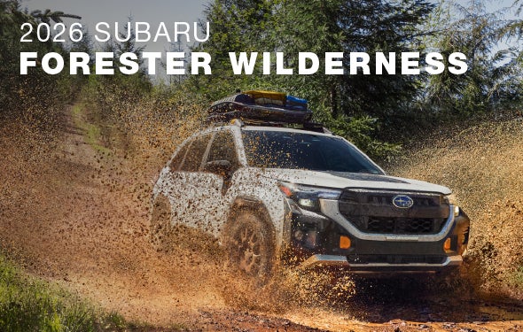 2026 Subaru Forester Wilderness | Dellenbach Subaru in Fort Collins CO