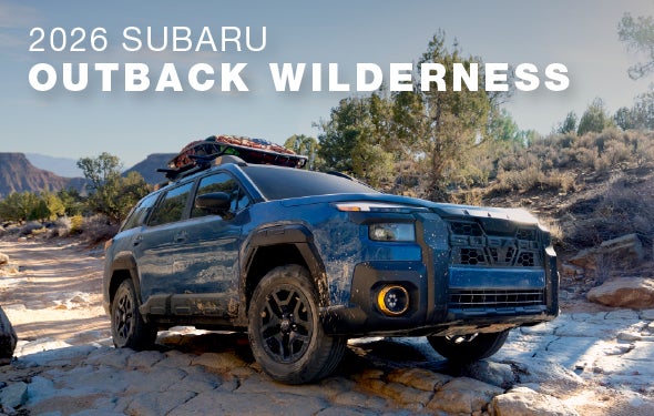 2026 Subaru Outback Wilderness | Dellenbach Subaru in Fort Collins CO
