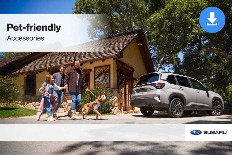 Dellenbach Subaru in Fort Collins CO