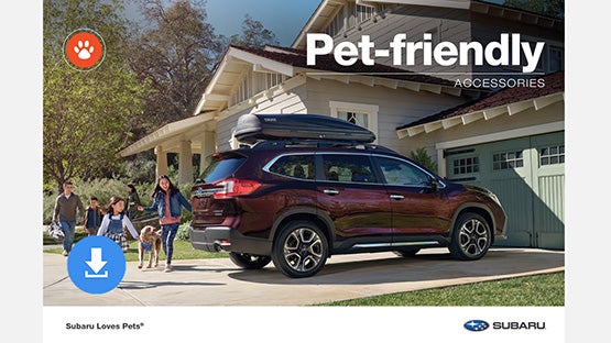 Dellenbach Subaru in Fort Collins CO