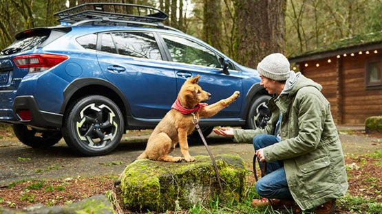 Dellenbach Subaru in Fort Collins CO