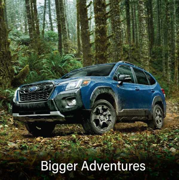A blue Subaru outback wilderness with the words &ldquo;Bigger Adventures&ldquo;. | Dellenbach Subaru in Fort Collins CO
