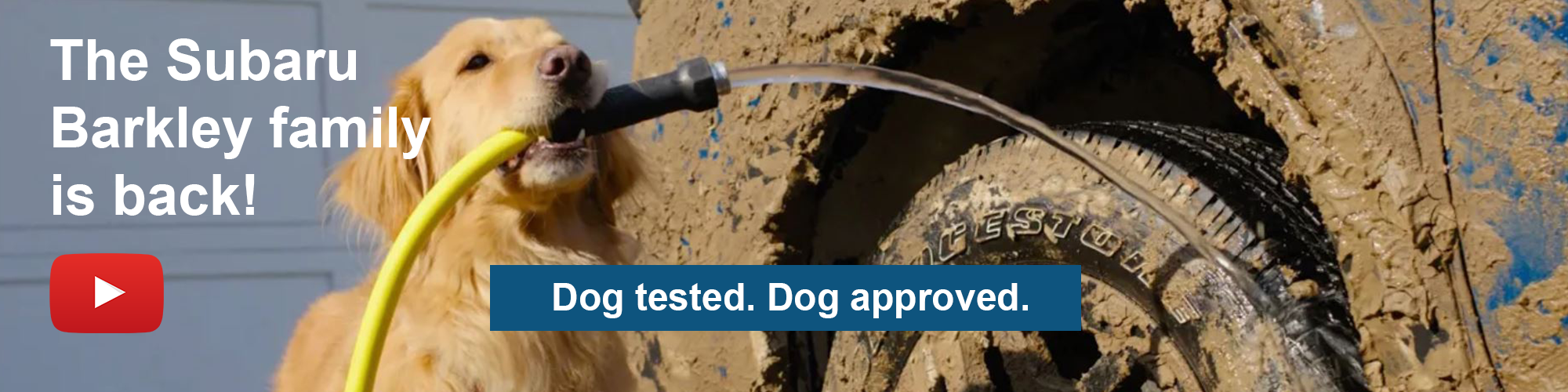 Dog Tested. Dog Approved.