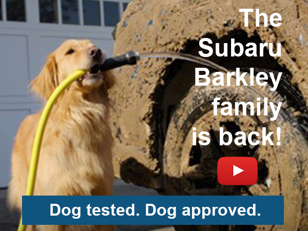 Dog Tested. Dog Approved.
