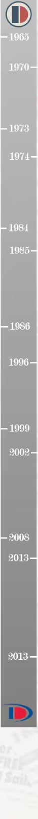 A grey vertical bar with years (1965 to 2013) and two Champion logos, representing a logo evolution timeline.